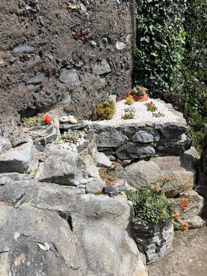 Tropical House Villa Ribeira Brava Exterior photo